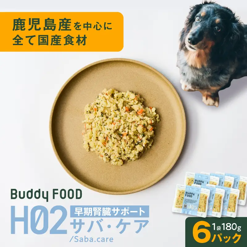 Buddy FOOD ヘルスケアプラス 早期腎臓サポートサバ・ケア×6パック K390-001_08 魚 さば 腎臓 ペットフード