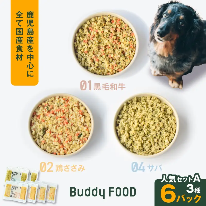 Buddy FOOD 人気セットA 3種6パック（黒毛和牛、鶏ささみ、サバ） K390-001_11 国産 魚 牛肉 鶏肉 ペットフード