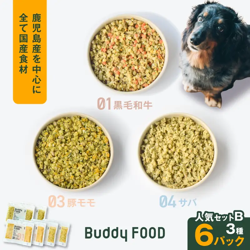Buddy FOOD 人気セットB 3種6パック（黒毛和牛、豚モモ、サバ） K390-001_12 国産 魚 牛肉 豚肉 ペットフード