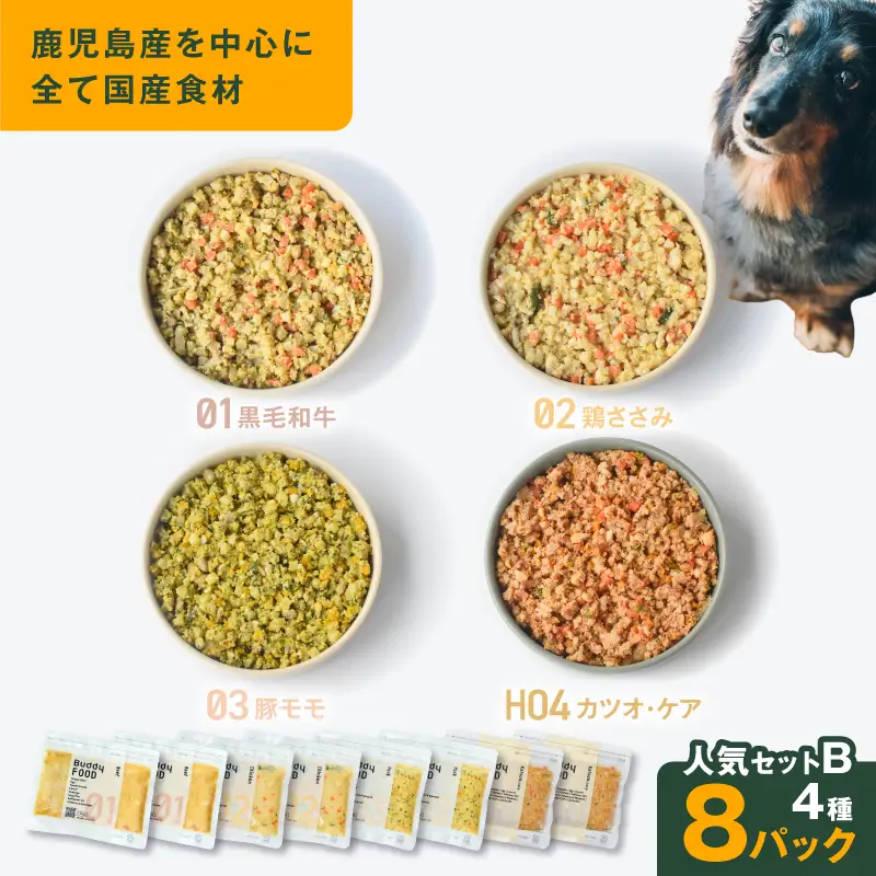 Buddy FOOD 人気セットB 4種8パック K390-003_02 国産 肉 魚 ペットフード