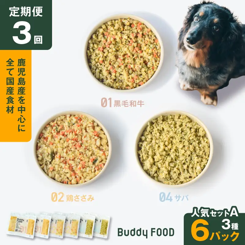 【全3回定期便】Buddy FOOD 人気セットA 3種6パック K390-T11_a 国産 魚 牛肉 鶏肉 ペットフード