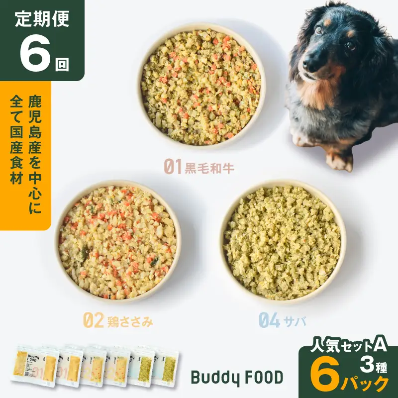 【全6回定期便】Buddy FOOD 人気セットA 3種6パック K390-T11_b 国産 魚 牛肉 鶏肉 ペットフード