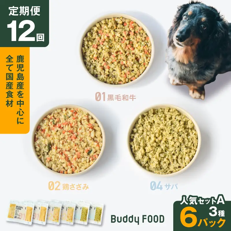 【全12回定期便】Buddy FOOD 人気セットA 3種6パック K390-T11_c 国産 魚 牛肉 鶏肉 ペットフード
