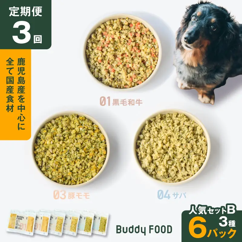 【全3回定期便】Buddy FOOD 人気セットB 3種6パック K390-T12_a 国産 魚 牛肉 豚肉 ペットフード
