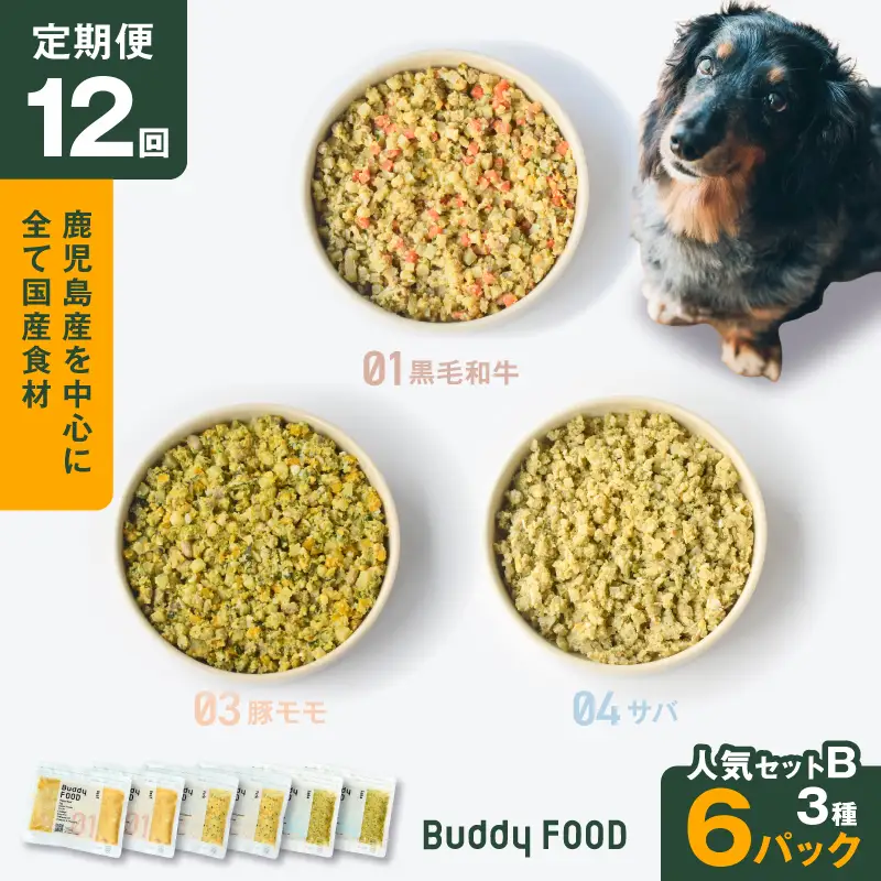 【全12回定期便】Buddy FOOD 人気セットB 3種6パック K390-T12_c 国産 魚 牛肉 豚肉 ペットフード