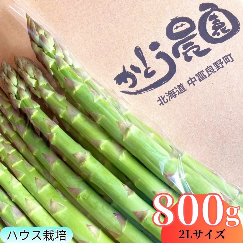 【2027年発送】中富良野町かとうさん家のハウスグリーンアスパラガス800g （2Lサイズ）【CK-001】