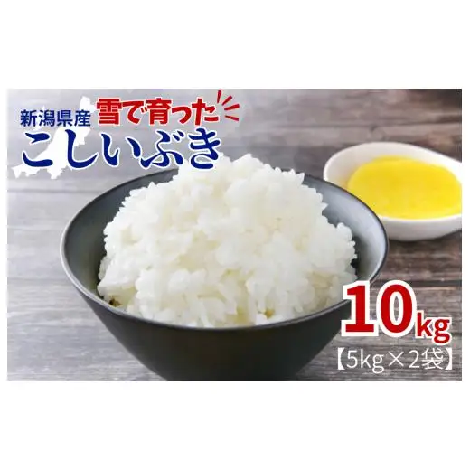 新潟県産　こしいぶき精米10kg（5kg×2袋）