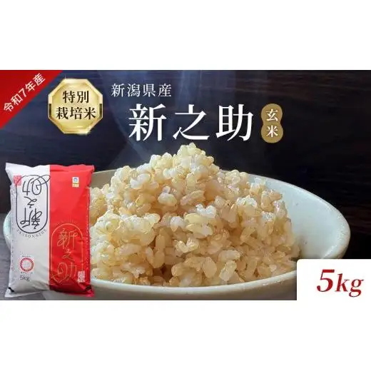 米令和7年度産 新潟県産特別栽培米新之助（玄米）5kg