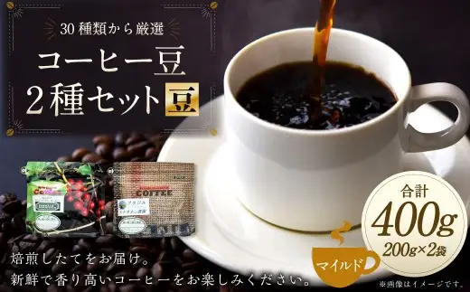 コーヒー豆 2種類 セット 【豆】（マイルドセット）