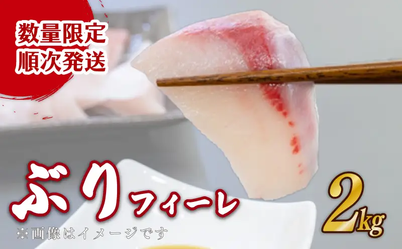【順次発送】ブリ フィーレ 2kg  