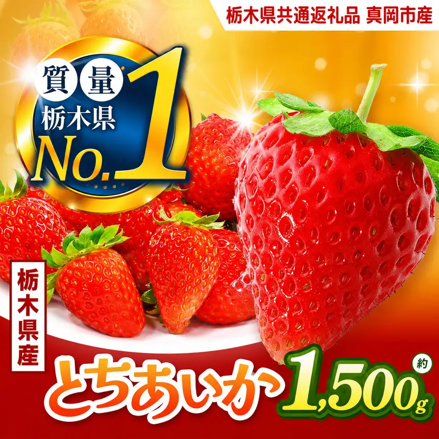 いちご とちあいか 厳選 1.5kg以上【2027年先行予約】 | 苺 イチゴ 栃木県共通返礼品 真岡市産 栃木県矢板市