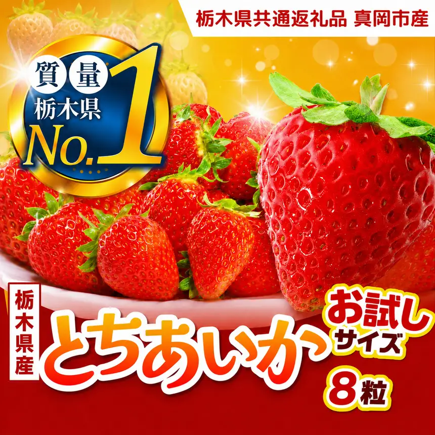 いちご お試し とちあいか 8粒【2027年先行予約】 | 苺 イチゴ 栃木県共通返礼品 真岡市産 栃木県矢板市