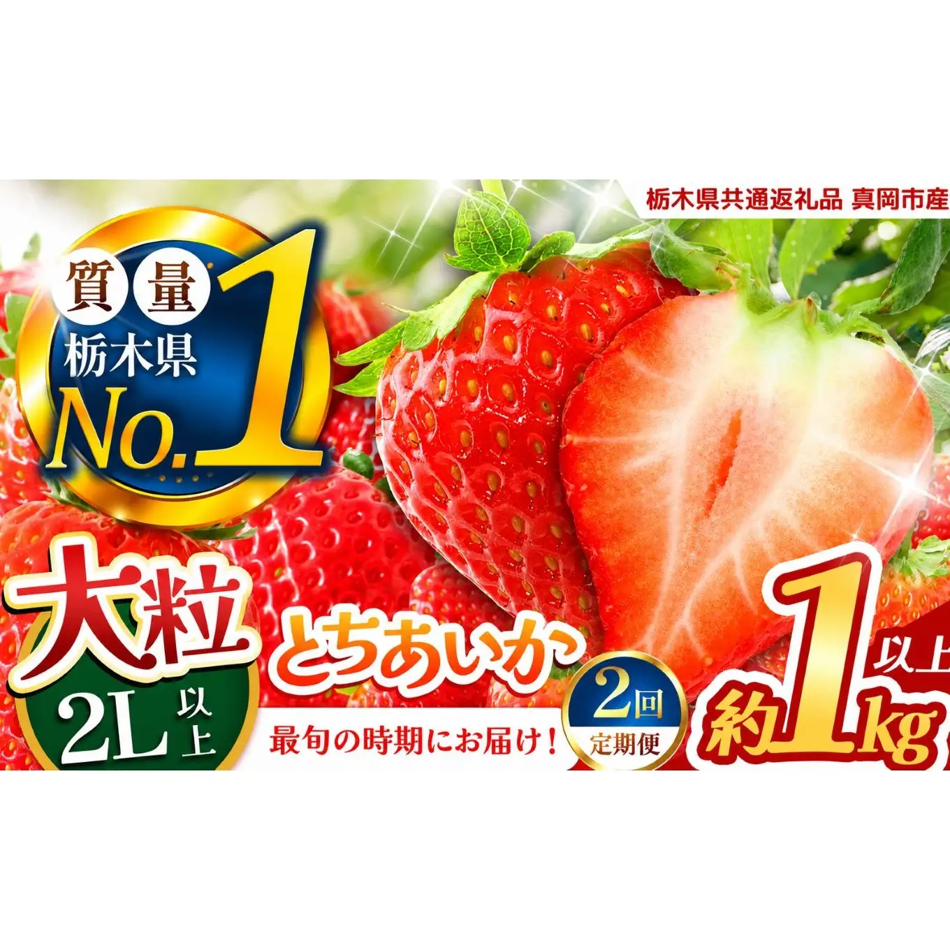 【定期便2回】いちご 2L以上 大粒 とちあいか1kg以上【2027年先行予約】 | 苺 イチゴ 栃木県共通返礼品 真岡市産 栃木県矢板市