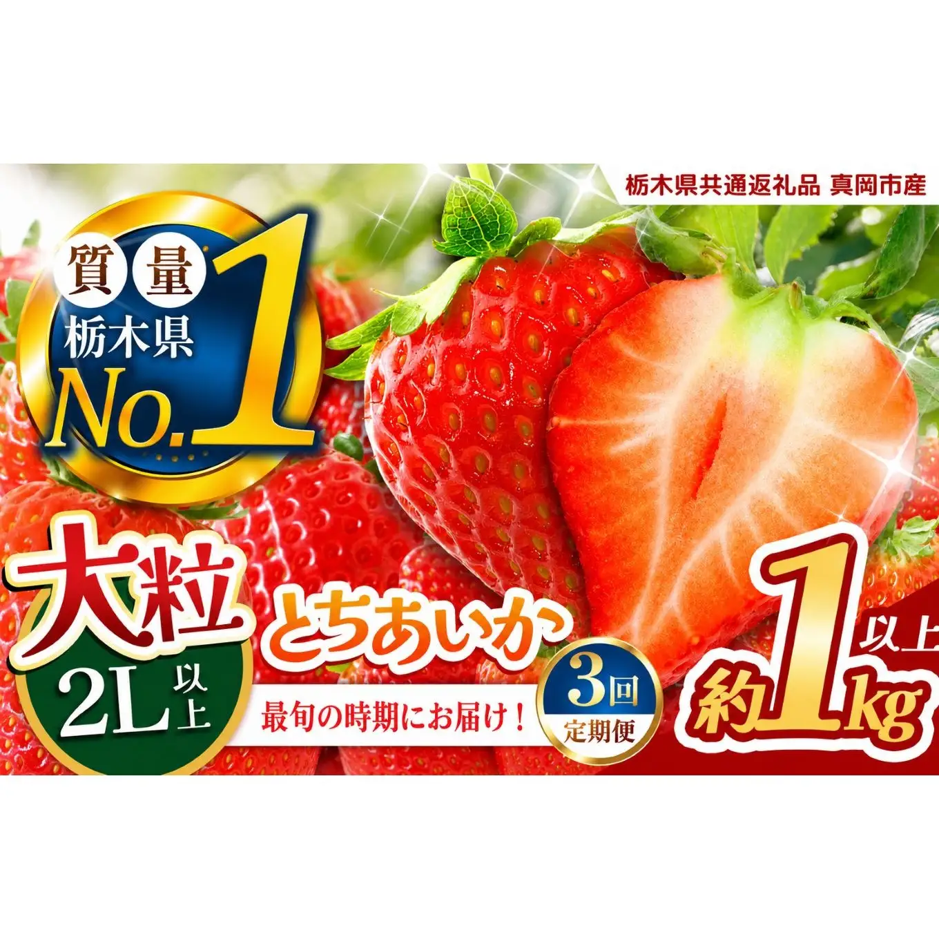 【定期便3回】いちご 2L以上 大粒 とちあいか1kg以上【2027年先行予約】 | 苺 イチゴ 栃木県共通返礼品 真岡市産 栃木県矢板市