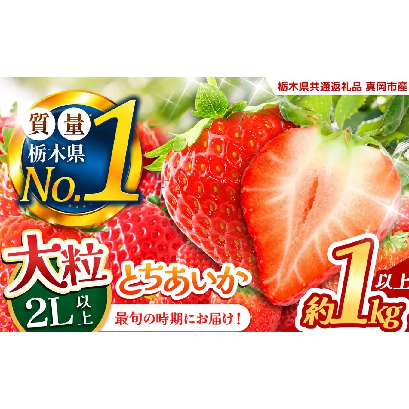 いちご 2L以上 大粒 とちあいか1kg以上【2027年先行予約】 | 苺 イチゴ 栃木県共通返礼品 真岡市産 栃木県矢板市