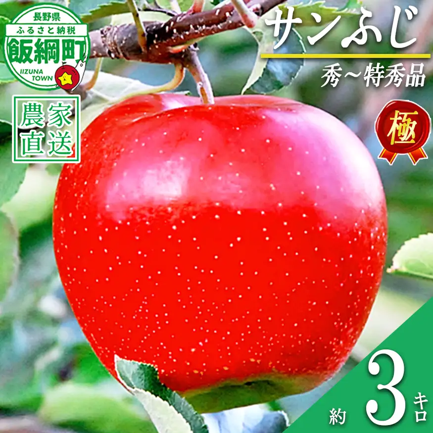 りんご 極み サンふじ 3kg こだわりの土作り 松澤農園 沖縄県への配送不可 2026年11月下旬頃から2027年1月中旬頃まで順次発送予定 令和8年度収穫分 長野県 飯綱町 [1807]