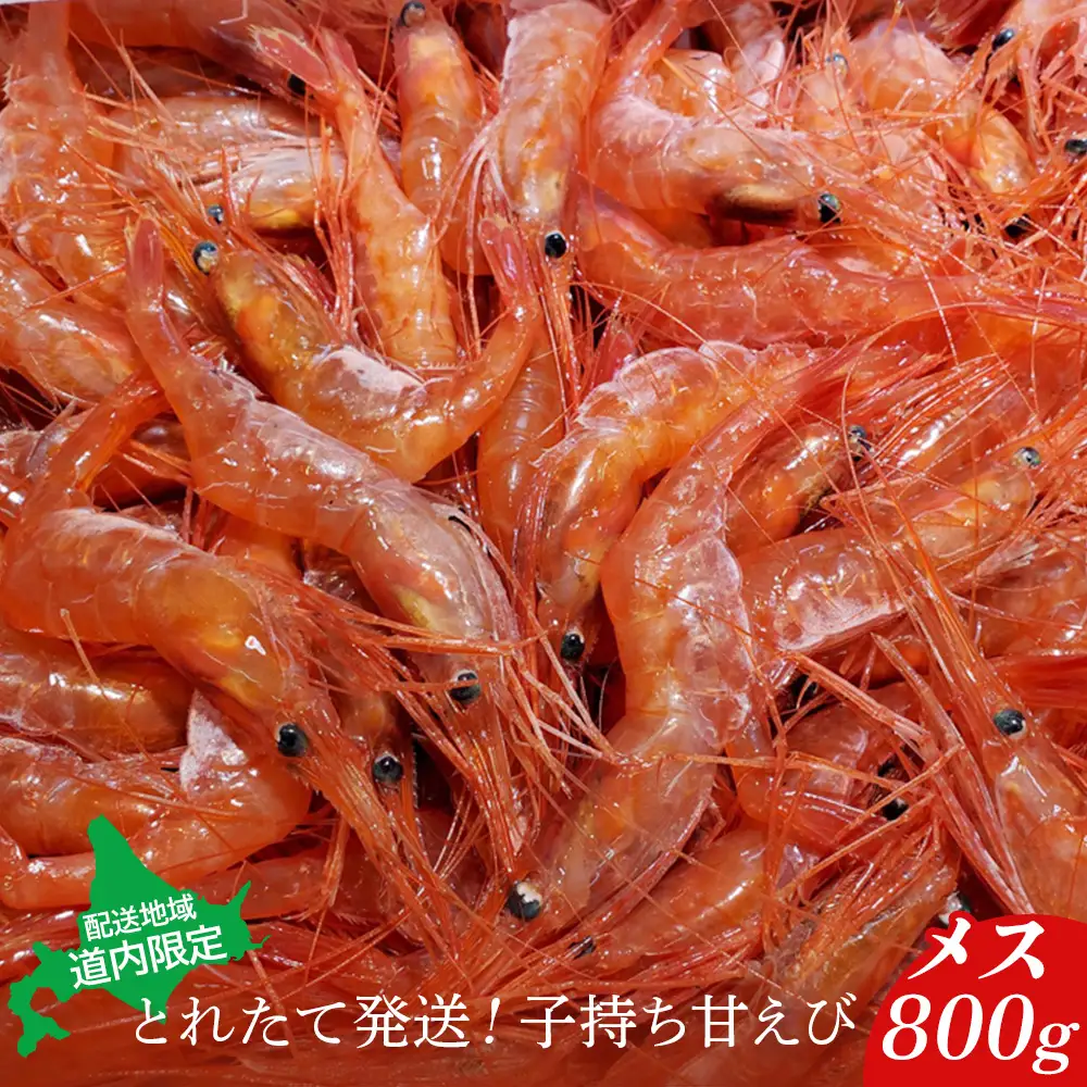【配送地域・北海道内限定】とれたて発送！子持ち甘えび　メス 800g【06113】