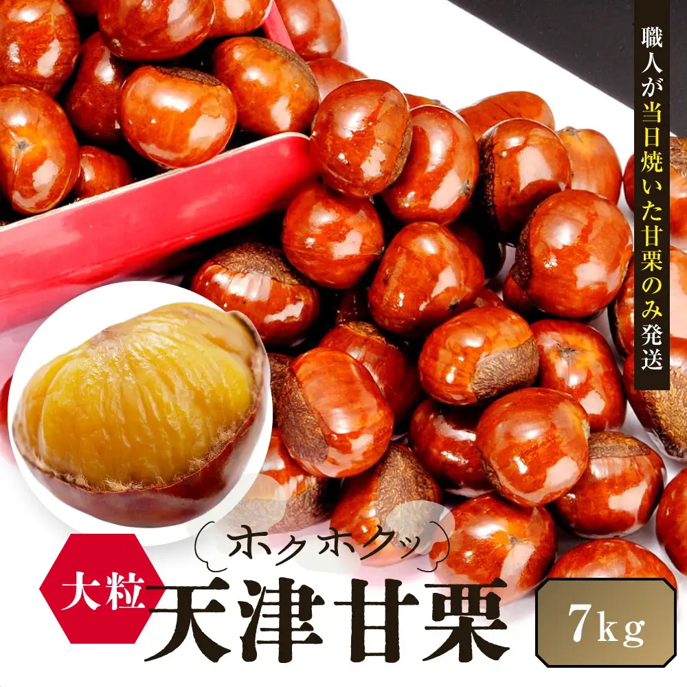 【先行予約】無添加 大粒天津甘栗 7kg 2026年10月下旬より順次発送 【沖縄県・離島配送不可】