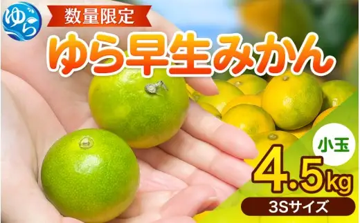 ゆら早生 みかん ≪小玉≫ 4.5kg (3Sサイズ) / みかん 小玉サイズ 甘い 蜜柑 フルーツ 果物 くだもの 食品 人気 晩柑 おすすめ 送料無料 産地直送 和歌山 由良町 ※2026年10月中旬頃~2026年10月下旬頃に順次発送予定【kzmn003-3s-4d5A】 7,400円