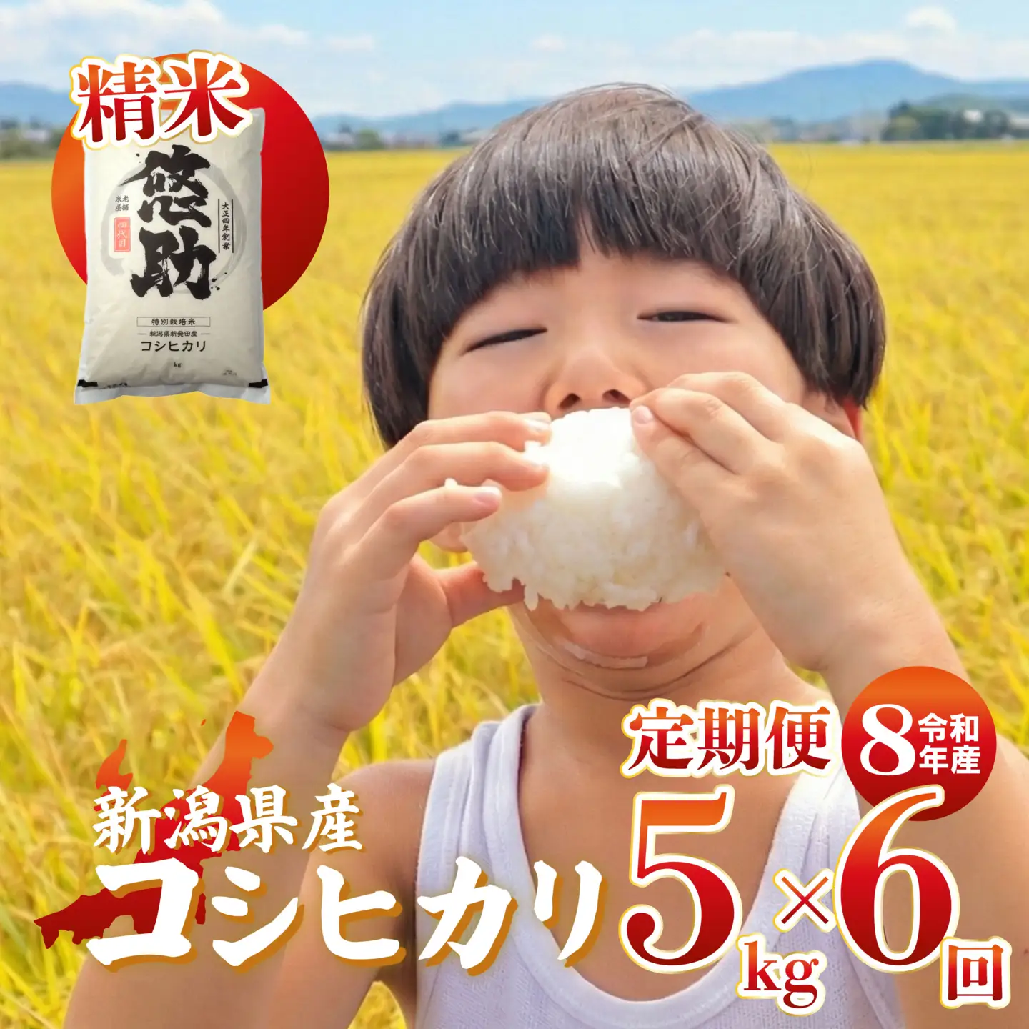 先行予約 令和8年産 コシヒカリ 定期便 5kg 6回 30kg 特別栽培米 コンテスト 入賞 【 コンテスト 入賞米 米 おこめ お米 ブランド米 ご飯 ごはん オニギリ お弁当 kome 送料無料 数量限定 農家直送 産地直送 国産 川瀬農園 四代目 悠助 新潟 新発田 kwsKH 】　
