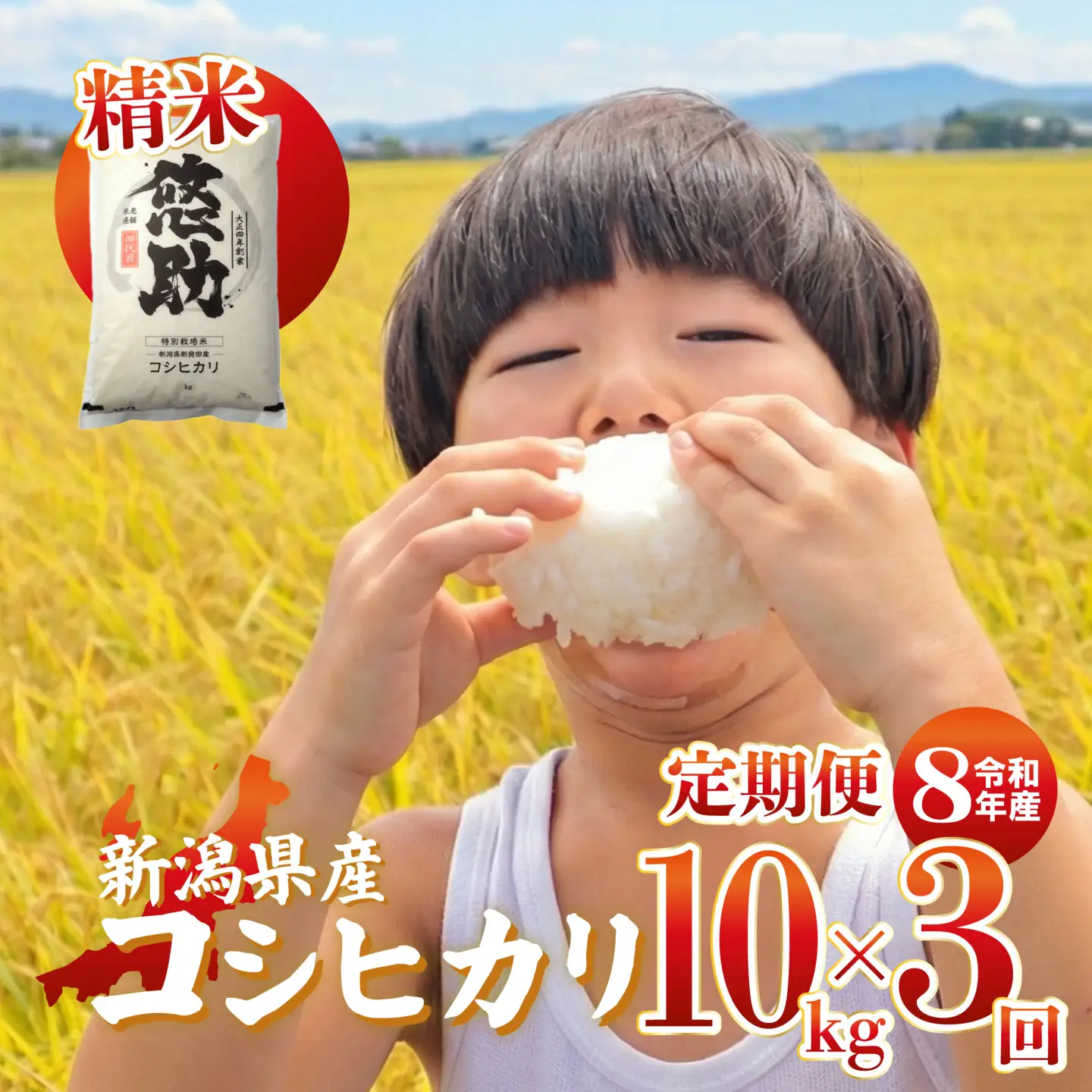 先行予約 令和8年産 コシヒカリ 定期便 10kg 3回 30kg 特別栽培米 コンテスト 入賞 【 コンテスト 入賞米 米 おこめ お米 ブランド米 ご飯 ごはん オニギリ お弁当 kome 送料無料 数量限定 農家直送 産地直送 国産 川瀬農園 四代目 悠助 新潟 新発田 kwsKH 】　