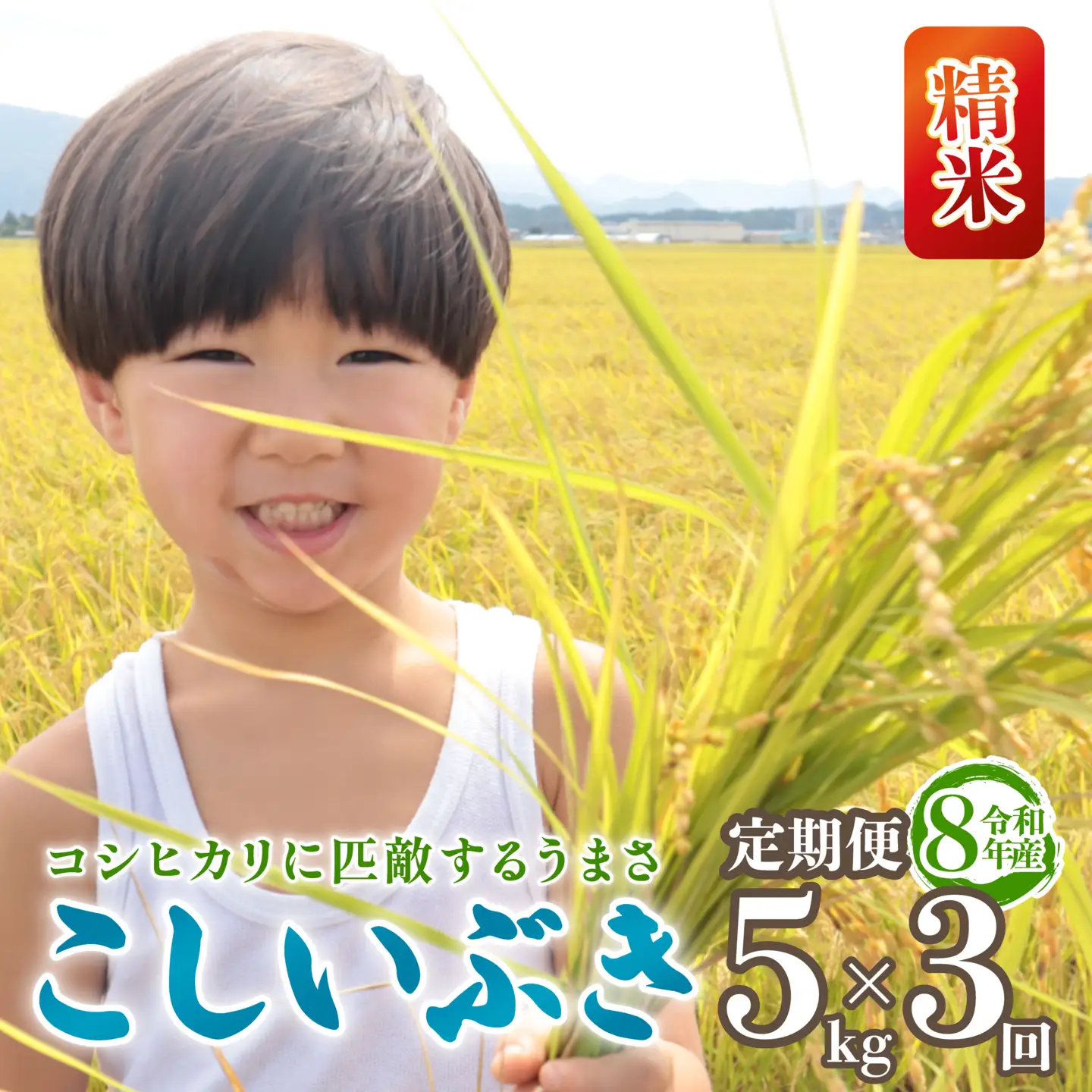 令和8年産 こしいぶき 定期便 5kg 3回 15kg 新潟 新米 3か月 先行予約 越後の新しい息吹 コシヒカリ の遺伝子を引き継ぐ 米 おこめ お米 ご飯 ごはん オニギリ お弁当 kome 送料無料 数量限定 農家直送 産地直送 国産 川瀬農園 四代目 悠助 新潟 新発田 kwsKI