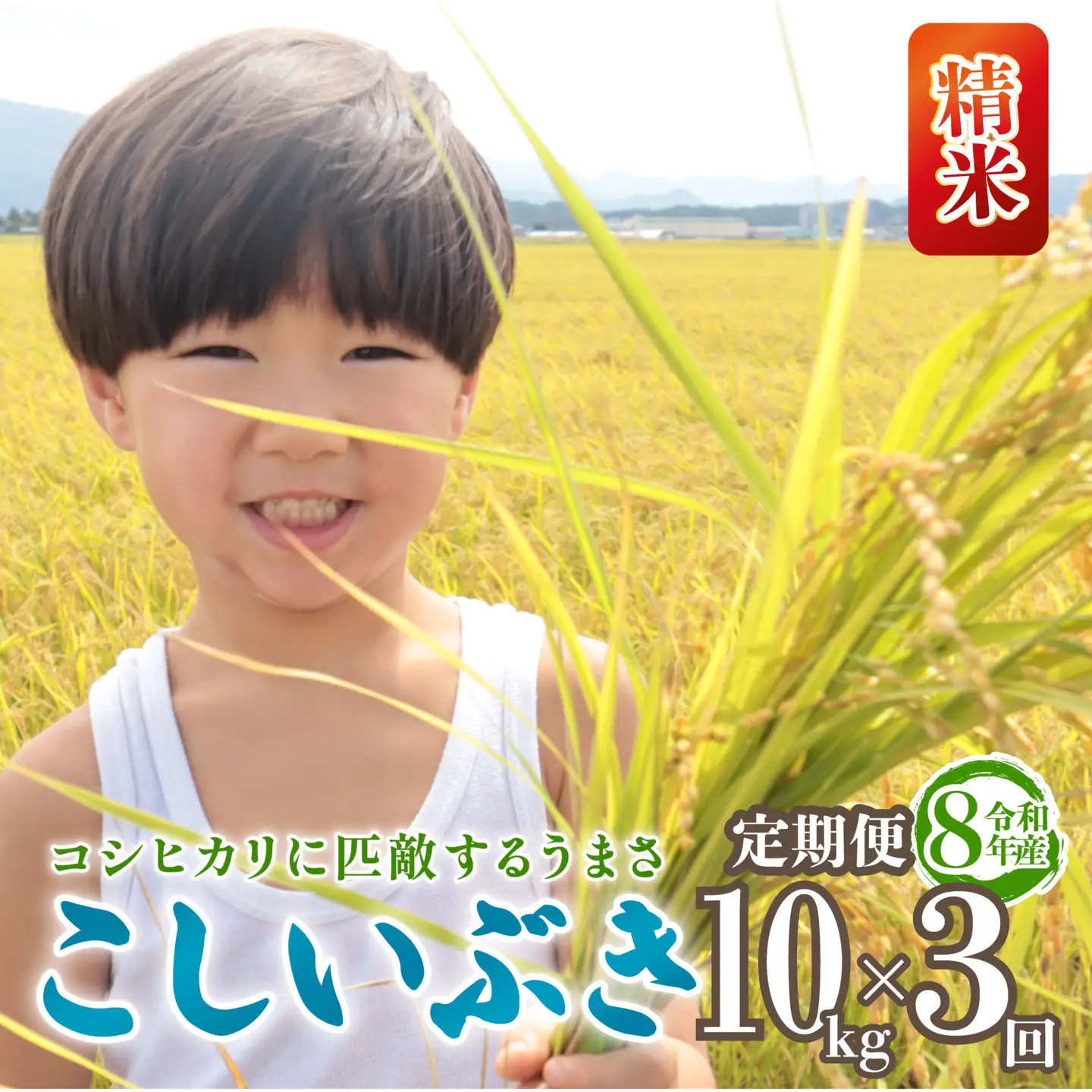 令和8年産 こしいぶき 定期便 10kg 3回 30kg 新潟 先行予約 新米 3か月 越後の新しい息吹 コシヒカリ の遺伝子を引き継ぐ 米 おこめ お米 ご飯 ごはん オニギリ お弁当 kome 送料無料 数量限定 農家直送 産地直送 国産 川瀬農園 四代目 悠助 新潟 新発田 kwsKI