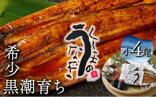 くしまの黒潮うなぎ蒲焼小4尾（合計560g前後）_K023-006