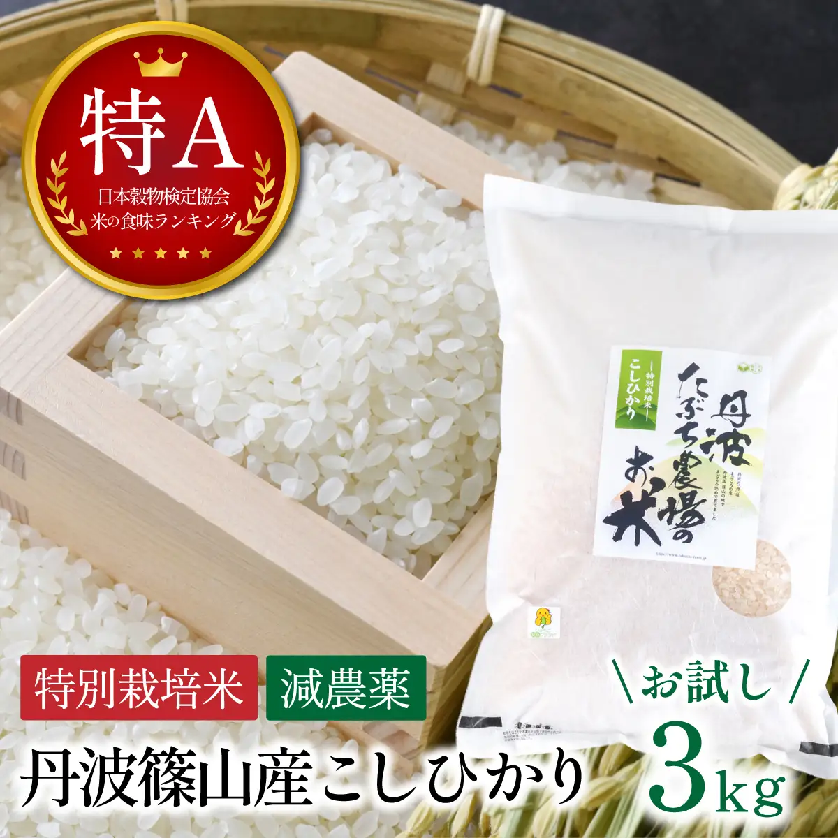 寄付額改定〈スピード出荷〉減農薬 特A 丹波篠山産 特別栽培米 こしひかり 3kg 精米
