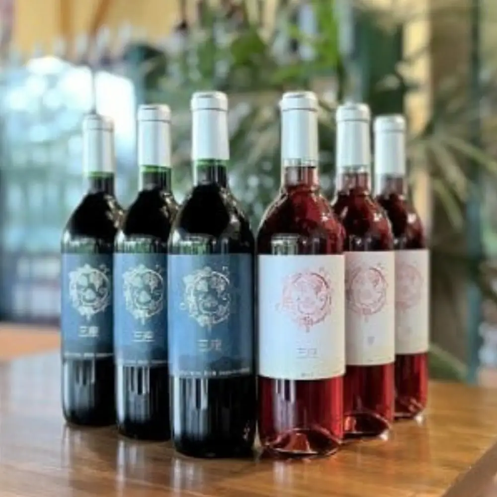 三座ワイン・赤＆ロゼ　6本セット （各720mlボトル） ひるぜんワイナリー 真庭市 蒜山 【hwine010-02】