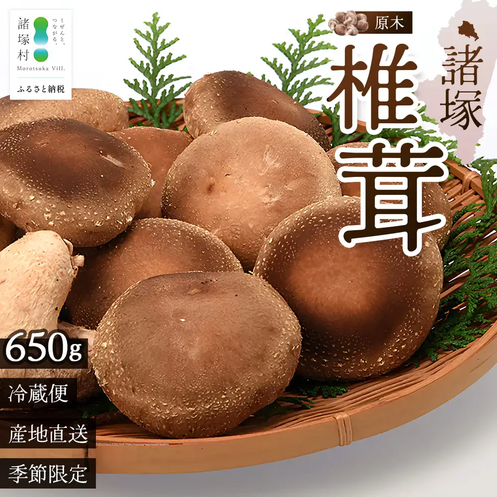【先行予約】宮崎県諸塚村産 原木生椎茸 約650g［2026年9月～11月ごろにお届け］冷蔵｜しいたけ 生シイタケ きのこ キノコ 原木しいたけ 産地直送 秋の味覚 もろっこはうす MO-30