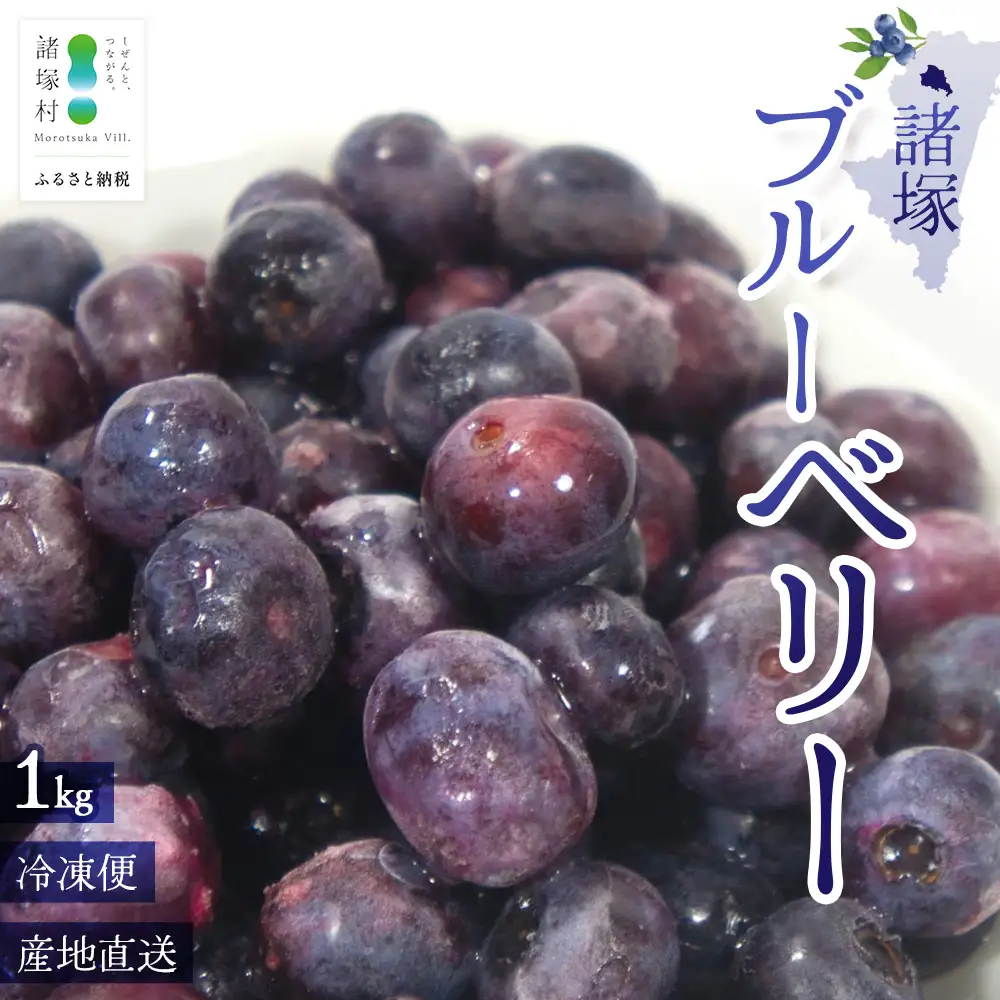 【数量限定】諸塚村産 冷凍ブルーベリー 約1kg｜ブルーベリー 果物 フルーツ 産地直送 スムージー ヨーグルト もろっこはうす 宮崎県 諸塚村 MO-34