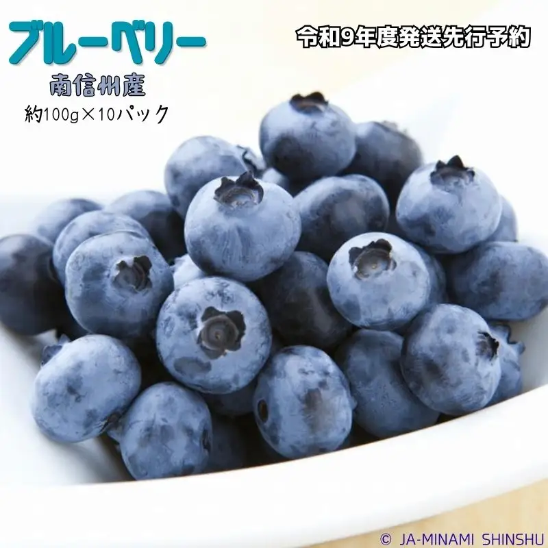 J30【令和9年度発送先行予約品】ブルーベリー 秀3L 100gパック×10入り
