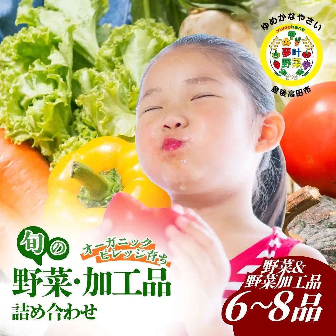 季節の夢叶 夏野菜 (ゆめかななつやさい) ボックス | 夏野菜 豊後高田市