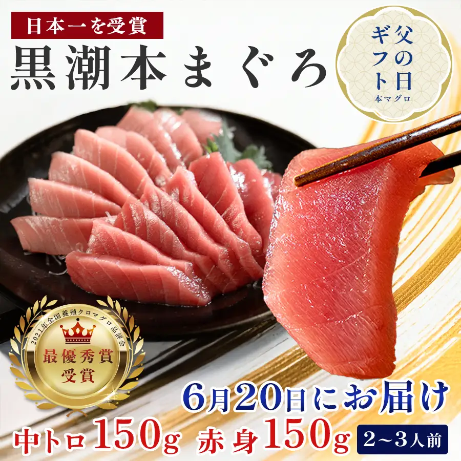 訳あり 不定貫 本マグロ 中トロ･赤身 食べ比べ 日本一 (PT0091_0432)