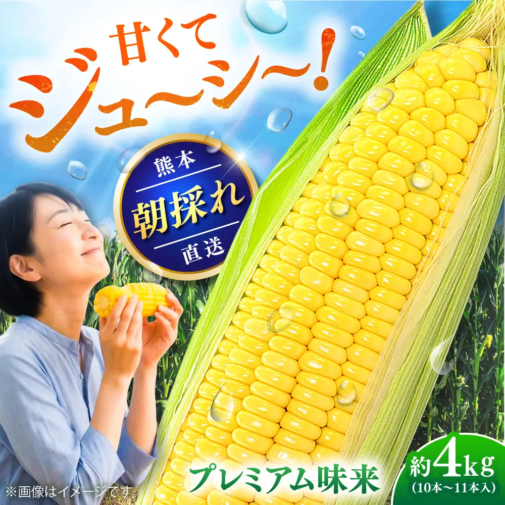 【先行予約】【2027年5月中旬より順次発送】スイートコーン(プレミアム味来) 約4kg スイートコーン[BHCJ004]