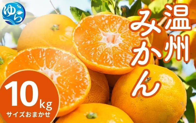 温州みかん 10kg (サイズおまかせ) ※2026年12月中旬～2027年1月下旬に順次発送予定 ※北海道・沖縄・離島配送不可 / ミカン 蜜柑 フルーツ 果物 柑橘 果実 由良町 国産 産地直送 和歌山県 【eiw004-r-10A】