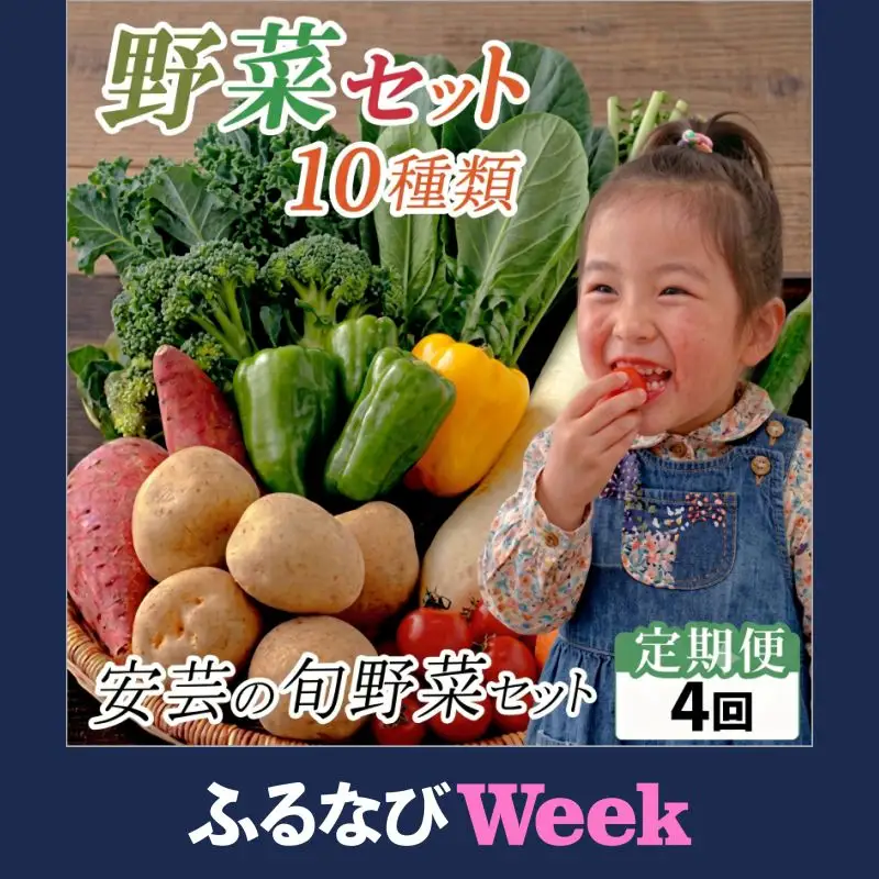 【ふるなびWEEK対象】定期便/計4回 安芸野菜（10種）【野菜】