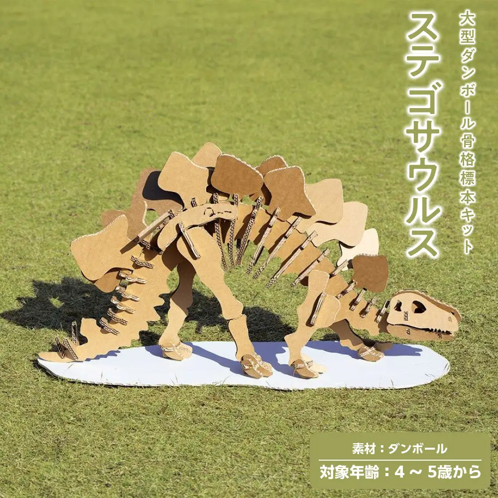 【Qumu】大型ダンボール骨格標本キット　ステゴサウルス