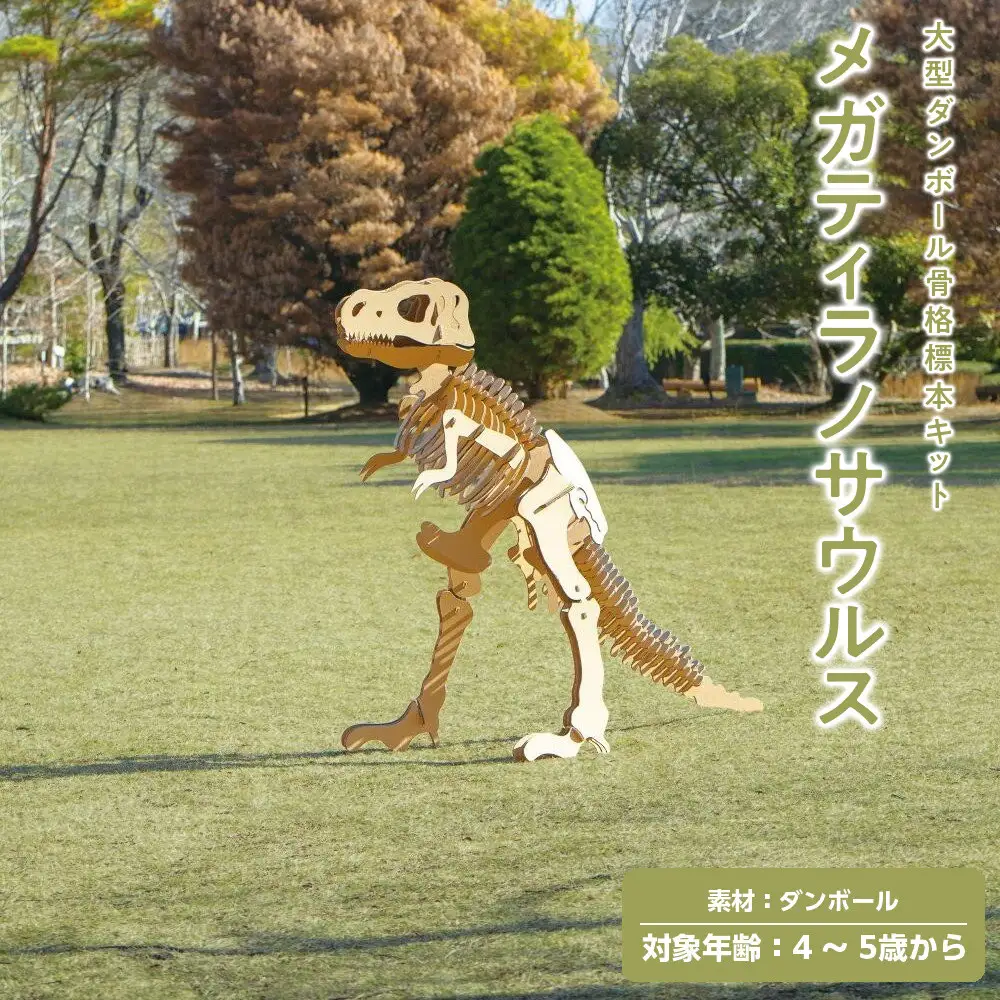 【Qumu】大型ダンボール骨格標本キット　メガティラノサウルス