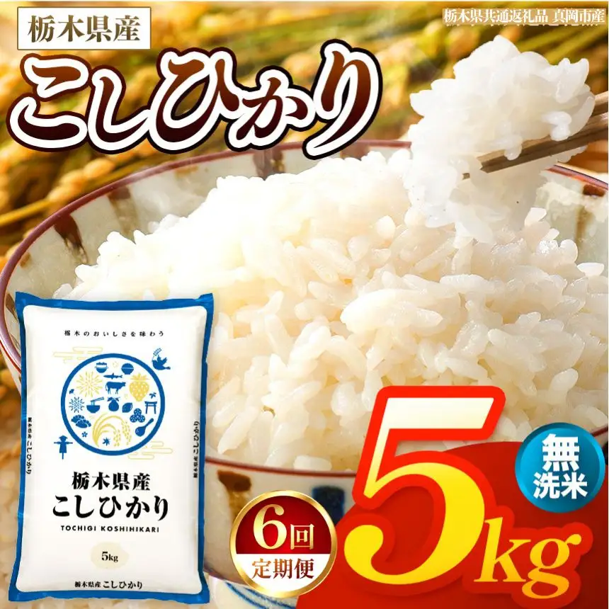 【令和8年産 新米】 【定期便6回】栃木県産 お米 こしひかり　（無洗米） 5kg 【2026年秋以降発送】 |  栃木県 矢板市 【栃木県共通返礼品 真岡市産】