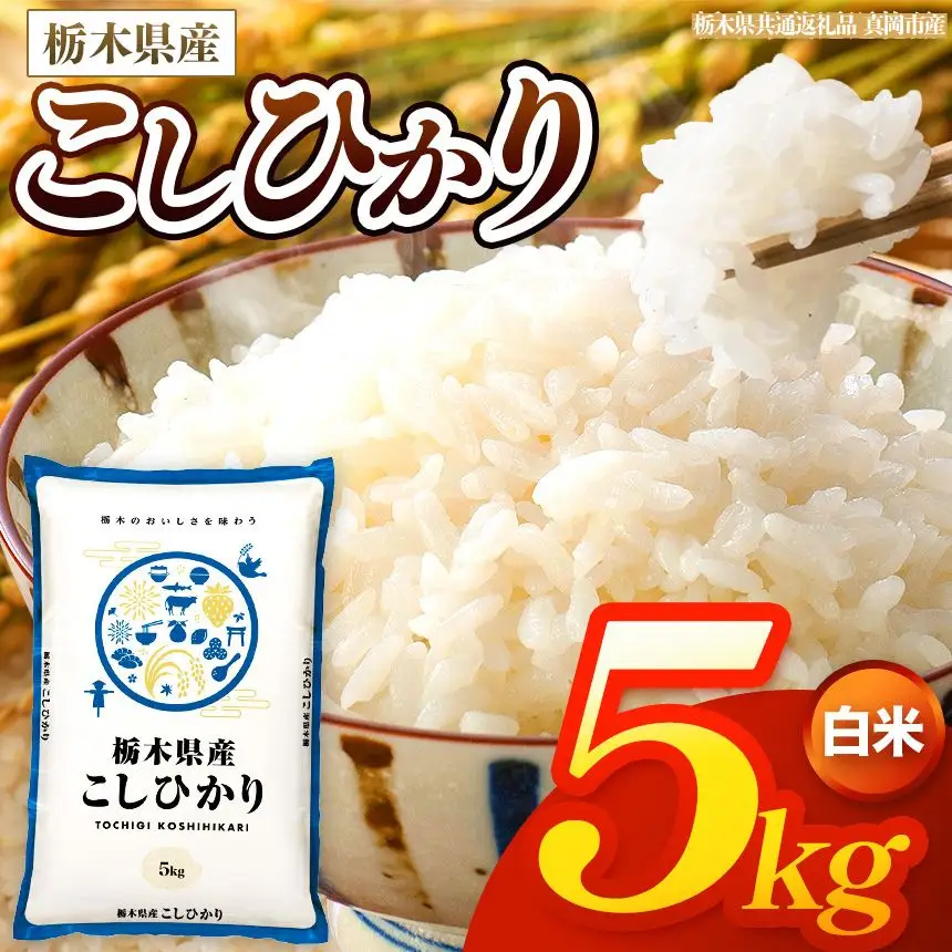 【令和8年産 新米】 栃木県産 お米 こしひかり　（白米） 5kg 【2026年秋以降発送 】 |  栃木県 矢板市 【栃木県共通返礼品 真岡市産】