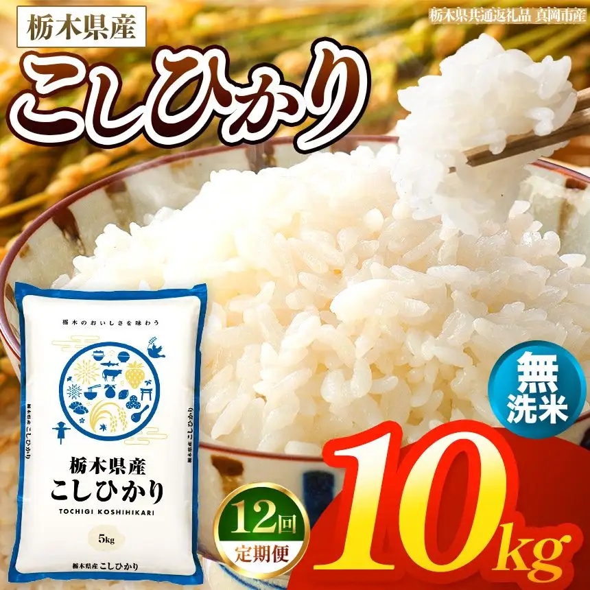 【令和8年産 新米】 【定期便12回】栃木県産 お米 こしひかり　（無洗米） 10kg 【2026年秋以降発送】 |  栃木県 矢板市 【栃木県共通返礼品 真岡市産】