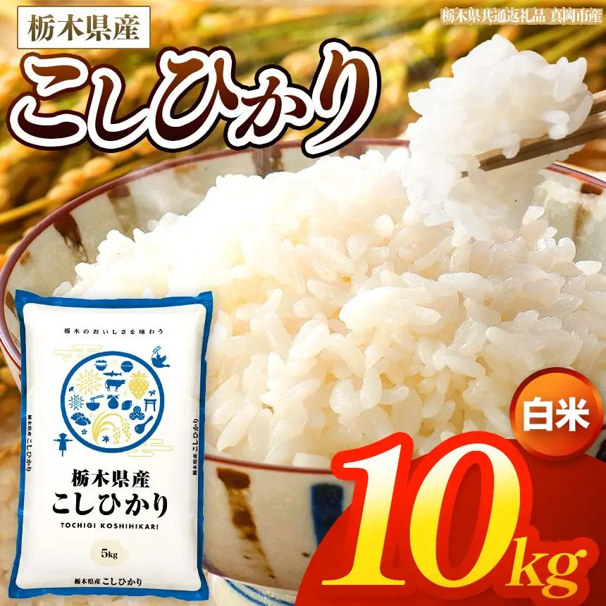 【令和8年産 新米】 栃木県産 お米 こしひかり　（白米） 10kg 【2026年秋以降発送 】 |  栃木県 矢板市 【栃木県共通返礼品 真岡市産】