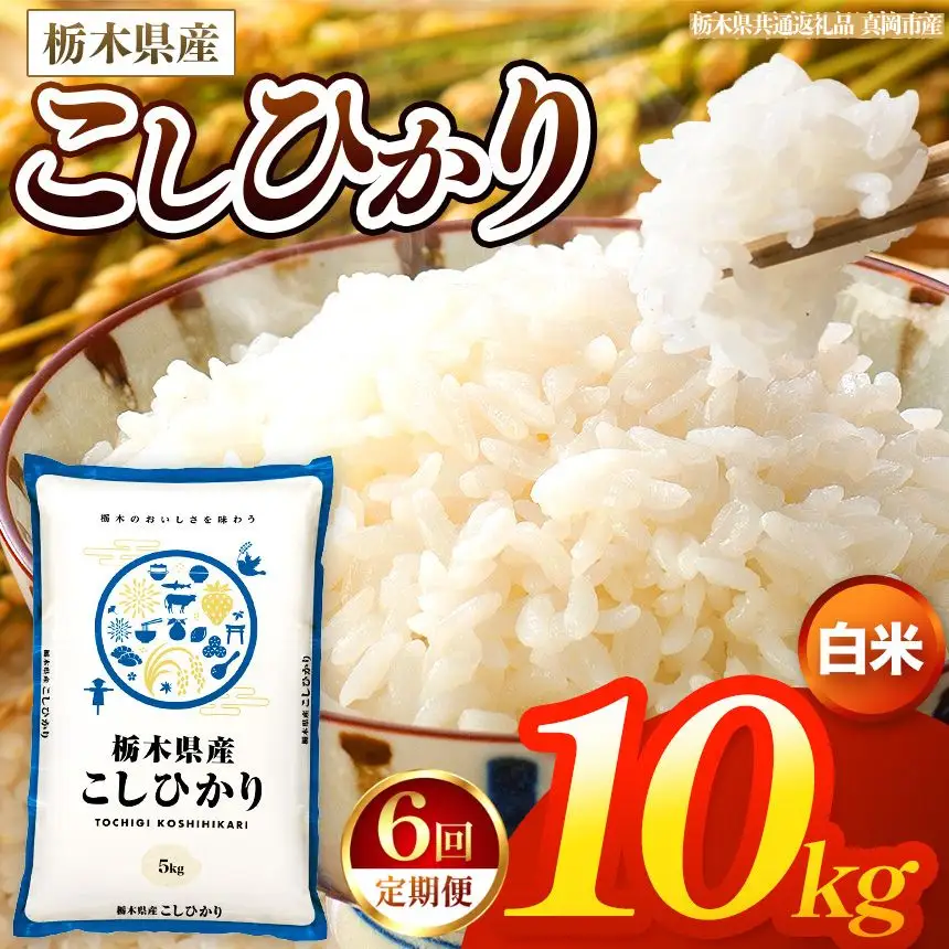 【令和8年産 新米】 【定期便6回】栃木県産 お米 こしひかり　（白米） 10kg 【2026年秋以降発送 】 |  栃木県 矢板市 【栃木県共通返礼品 真岡市産】