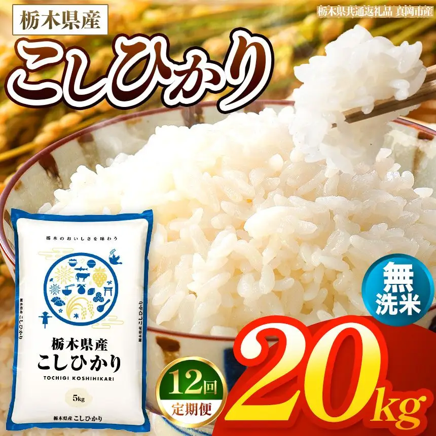 【令和8年産 新米】 【定期便12回】栃木県産 お米 こしひかり　（無洗米） 20kg 【2026年秋以降発送】 |  栃木県 矢板市 【栃木県共通返礼品 真岡市産】