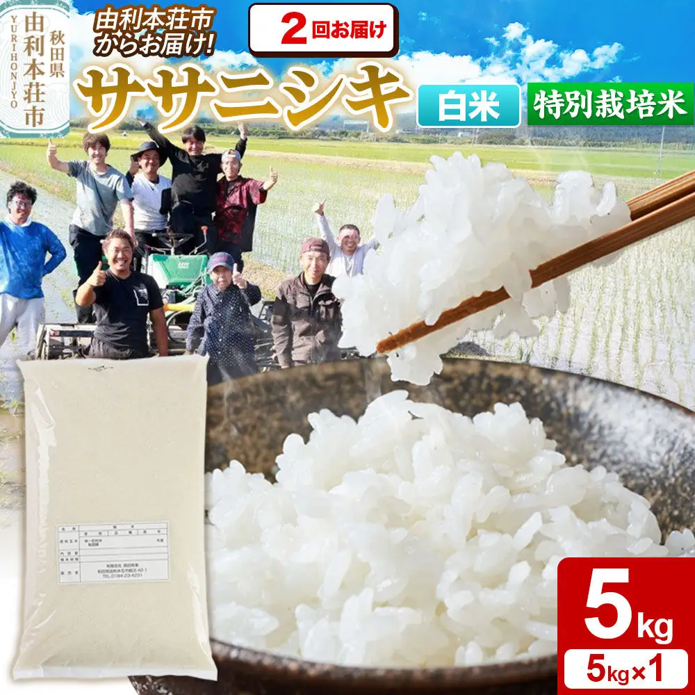 《定期便2ヶ月》令和7年産【白米】特別栽培米 ササニシキ 5kg 秋田県産