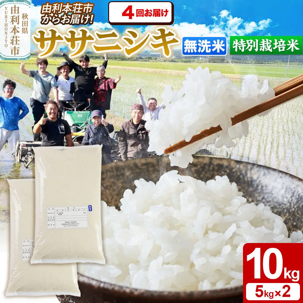 《定期便4ヶ月》令和7年産【無洗米】特別栽培米 ササニシキ 10kg（5kg×2袋）秋田県産