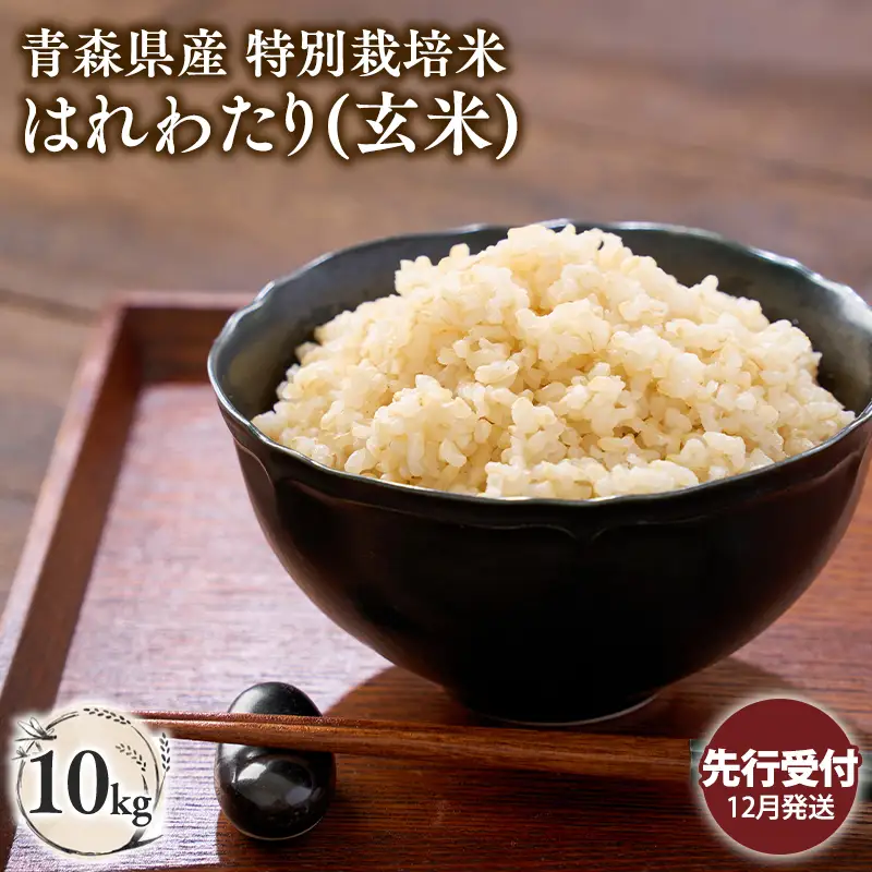 ≪令和8年産 先行予約≫特別栽培米 はれわたり玄米10kg［hi-0062-023-12］