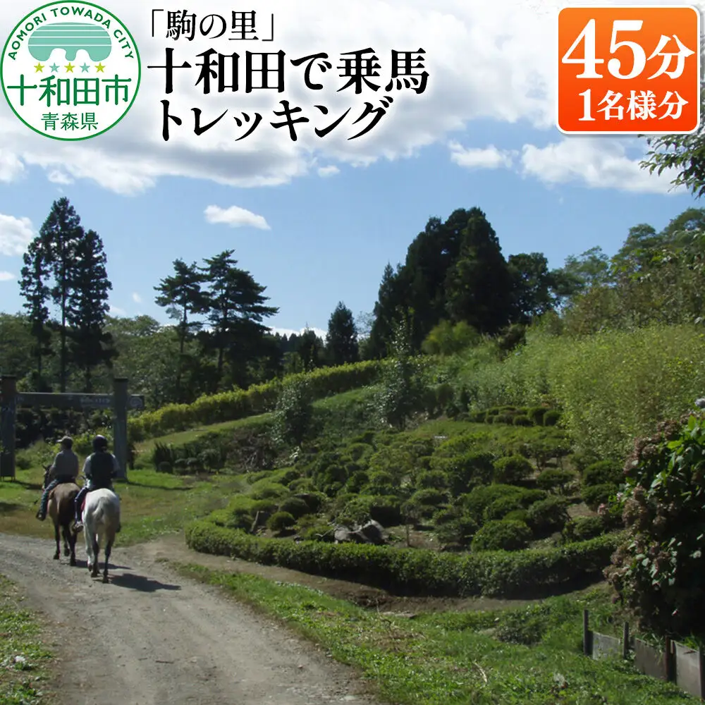 「駒の里」十和田で乗馬トレッキング45分（1名様分） レターパックプラス 青森県十和田市